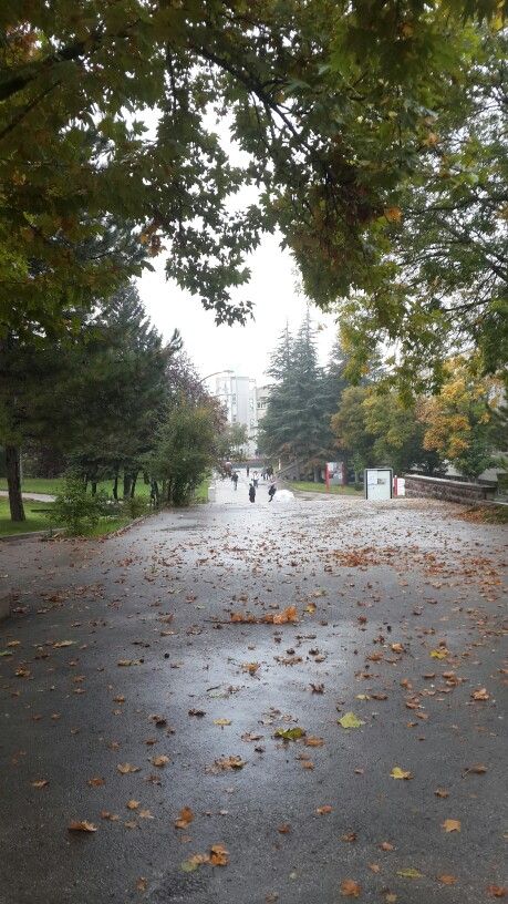 Beytepe